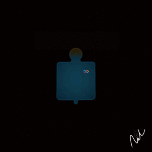 puzzle: 309